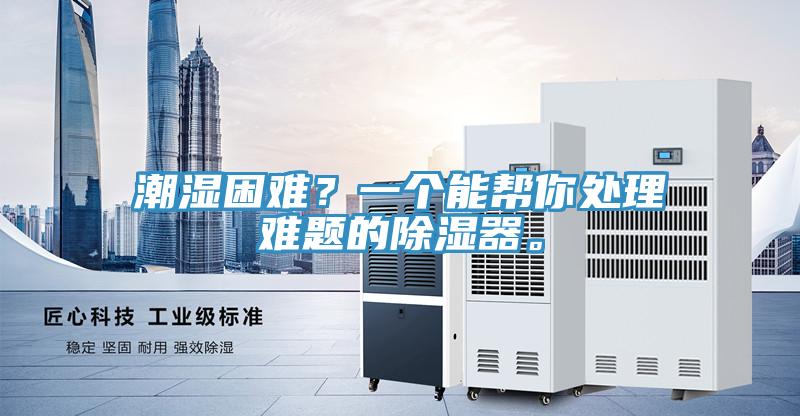 潮濕困難？一個(gè)能幫你處理難題的除濕器。