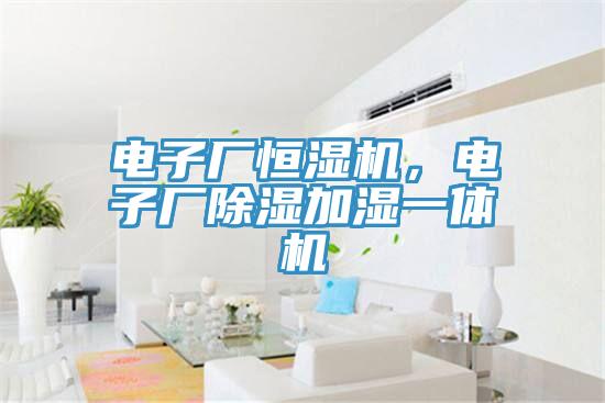 電子廠恒濕機(jī)，電子廠除濕加濕一體機(jī)