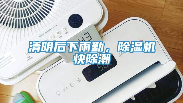 清明后下雨勤，除濕機快除潮