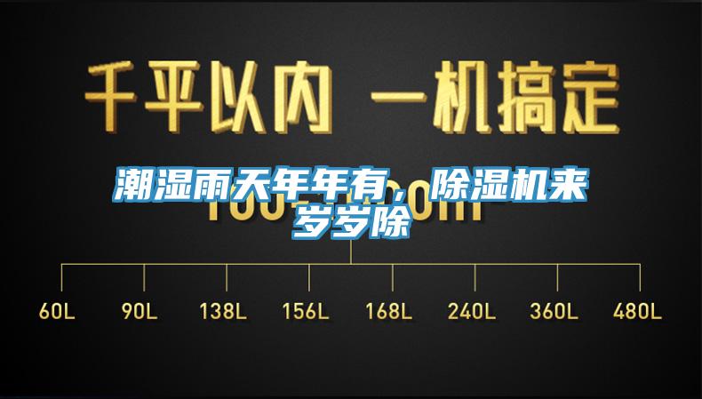 潮濕雨天年年有，除濕機來歲歲除