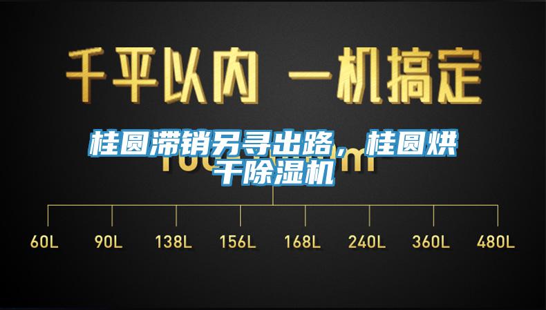桂圓滯銷另尋出路，桂圓烘干除濕機(jī)