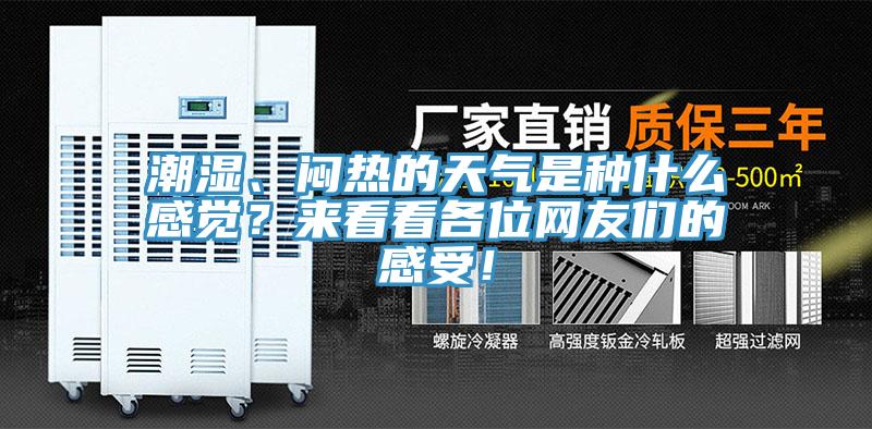 潮濕、悶熱的天氣是種什么感覺？來看看各位網(wǎng)友們的感受！