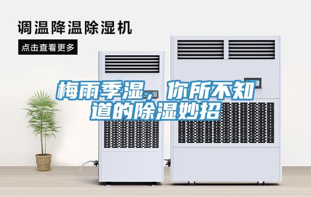 梅雨季濕，你所不知道的除濕妙招