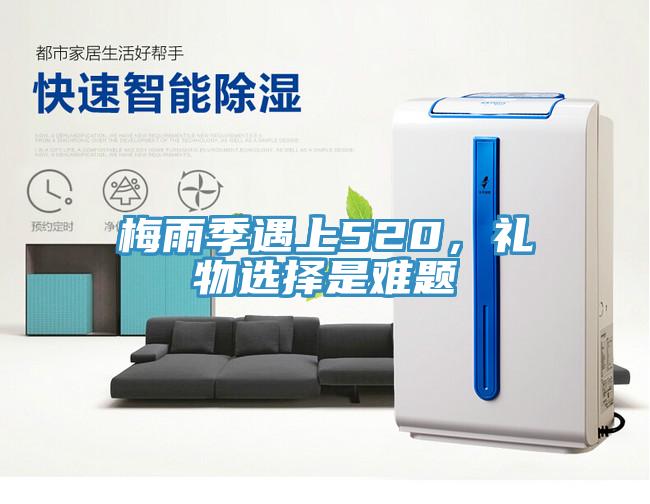 梅雨季遇上520，禮物選擇是難題