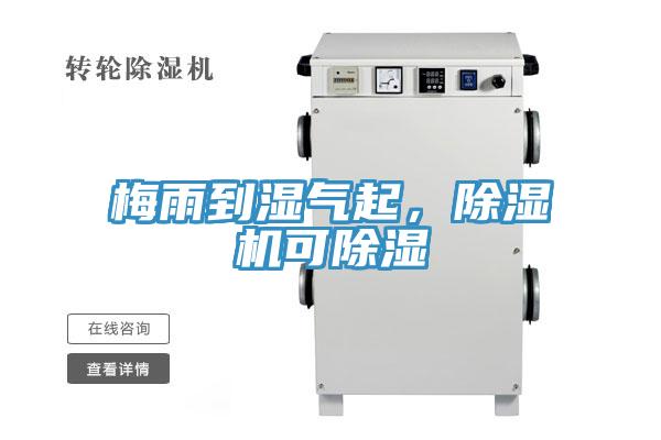 梅雨到濕氣起，除濕機(jī)可除濕