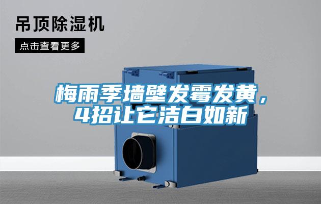 梅雨季墻壁發(fā)霉發(fā)黃，4招讓它潔白如新