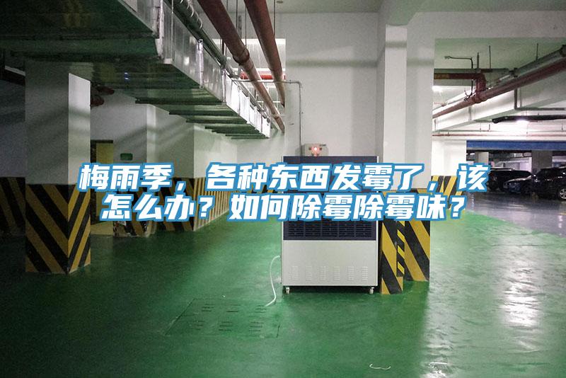 梅雨季，各種東西發(fā)霉了，該怎么辦？如何除霉除霉味？