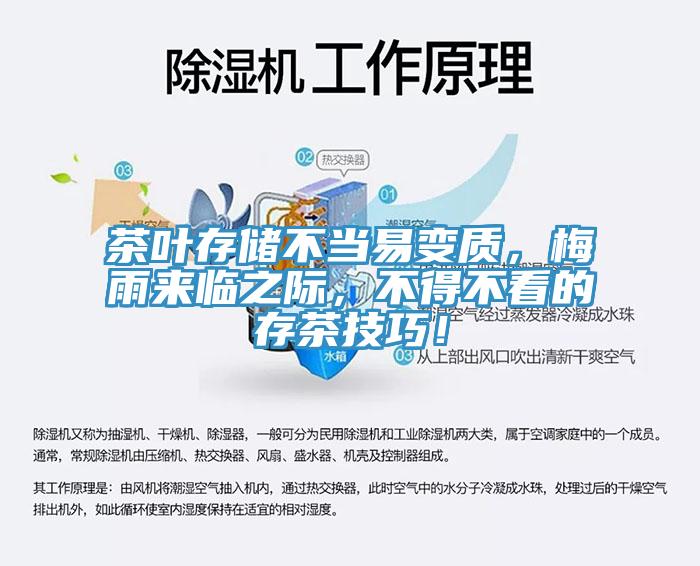 茶葉存儲不當(dāng)易變質(zhì)，梅雨來臨之際，不得不看的存茶技巧！