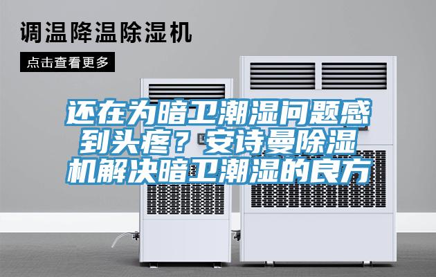 還在為暗衛(wèi)潮濕問(wèn)題感到頭疼？安詩(shī)曼除濕機(jī)解決暗衛(wèi)潮濕的良方