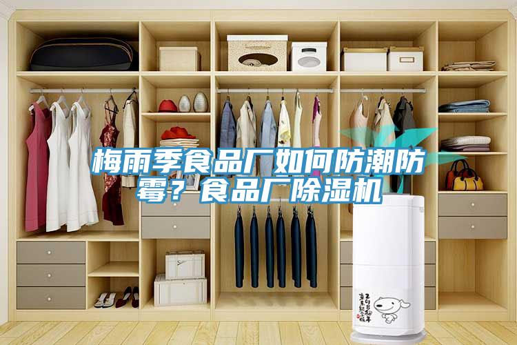 梅雨季食品廠如何防潮防霉？食品廠除濕機