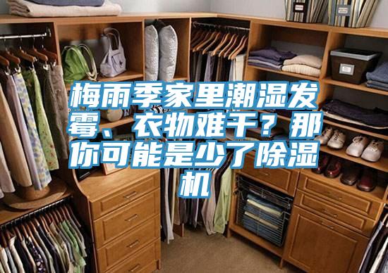 梅雨季家里潮濕發(fā)霉、衣物難干？那你可能是少了除濕機