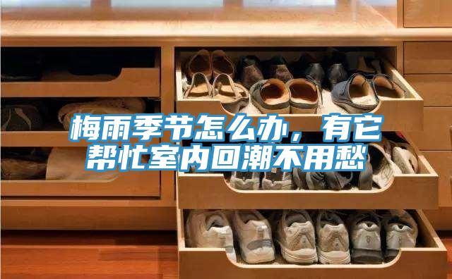 梅雨季節(jié)怎么辦，有它幫忙室內(nèi)回潮不用愁