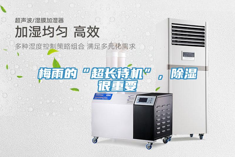 梅雨的“超長待機”，除濕很重要