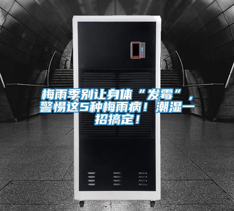 梅雨季別讓身體“發(fā)霉”，警惕這5種梅雨??！潮濕一招搞定！