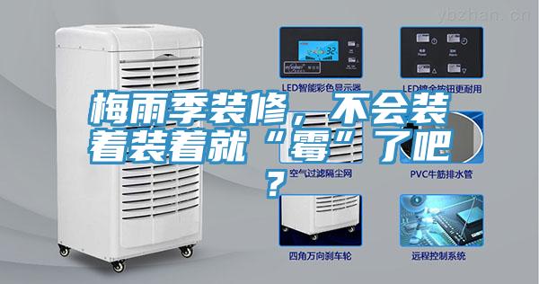 梅雨季裝修，不會(huì)裝著裝著就“霉”了吧？