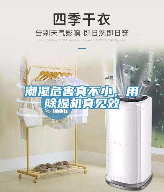 潮濕危害真不小，用除濕機真見效