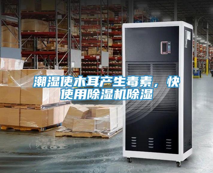 潮濕使木耳產生毒素，快使用除濕機除濕