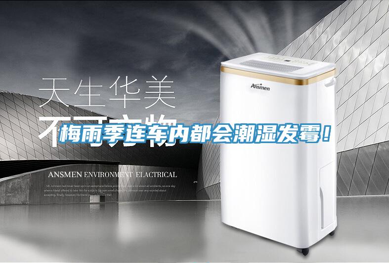 梅雨季連車內(nèi)都會(huì)潮濕發(fā)霉！