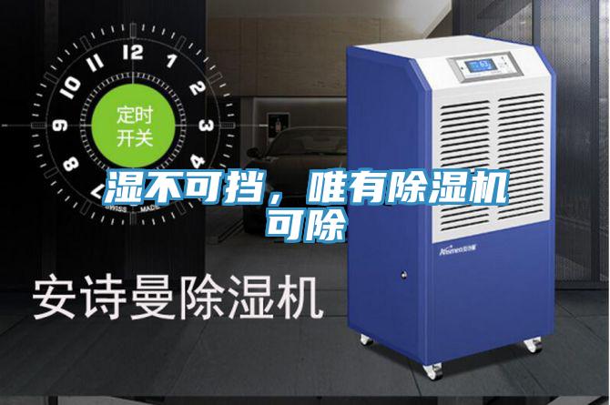 濕不可擋，唯有除濕機(jī)可除