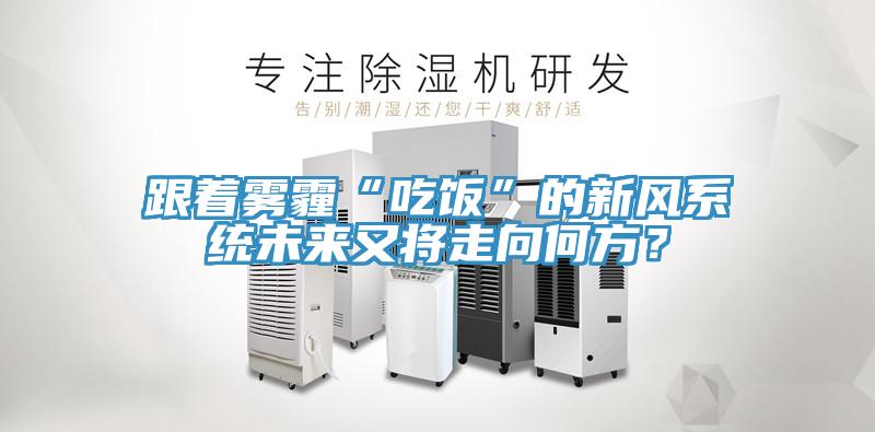 跟著霧霾“吃飯”的新風(fēng)系統(tǒng)未來又將走向何方？
