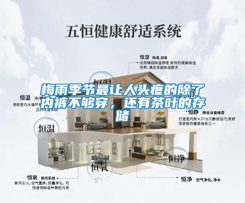 梅雨季節(jié)最讓人頭疼的除了內(nèi)褲不夠穿，還有茶葉的存儲