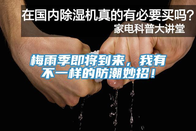 梅雨季即將到來，我有不一樣的防潮妙招！