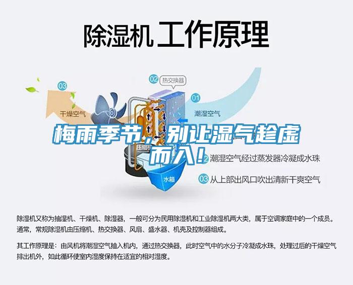 梅雨季節(jié)，別讓濕氣趁虛而入！