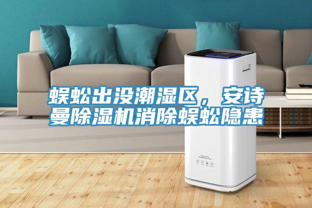 蜈蚣出沒潮濕區(qū)，安詩曼除濕機消除蜈蚣隱患