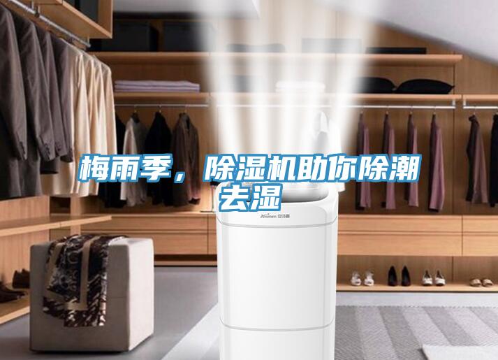 梅雨季，除濕機(jī)助你除潮去濕