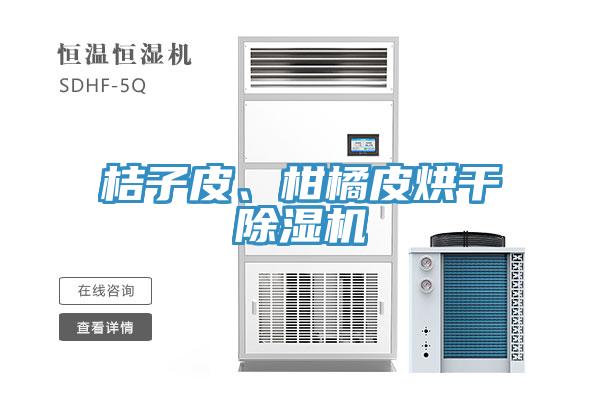 桔子皮、柑橘皮烘干除濕機(jī)