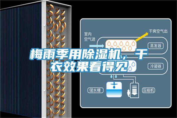梅雨季用除濕機(jī)，干衣效果看得見