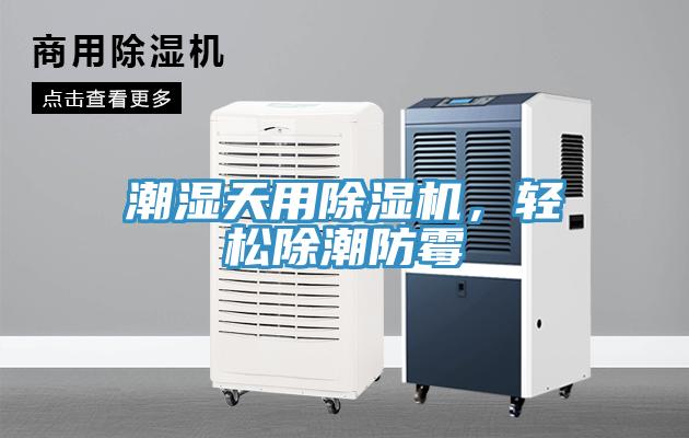 潮濕天用除濕機，輕松除潮防霉