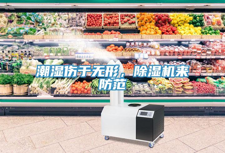潮濕傷于無形，除濕機來防范