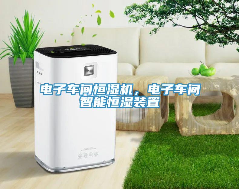 電子車間恒濕機，電子車間智能恒濕裝置