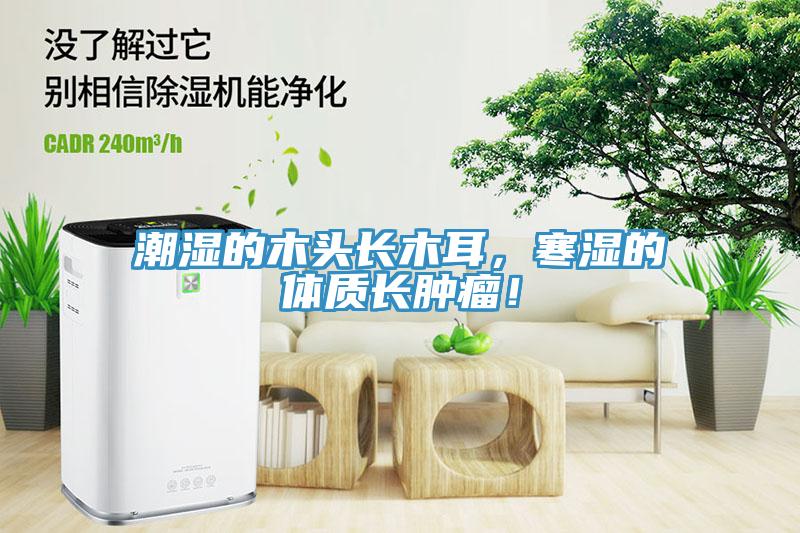 潮濕的木頭長木耳，寒濕的體質(zhì)長腫瘤！