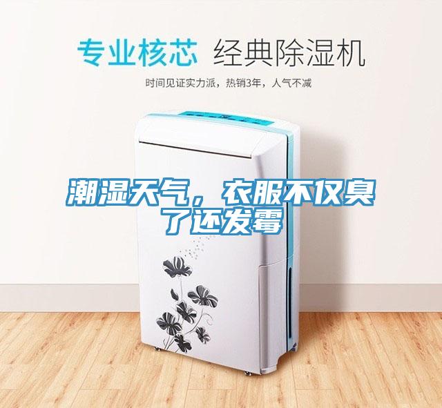 潮濕天氣，衣服不僅臭了還發(fā)霉