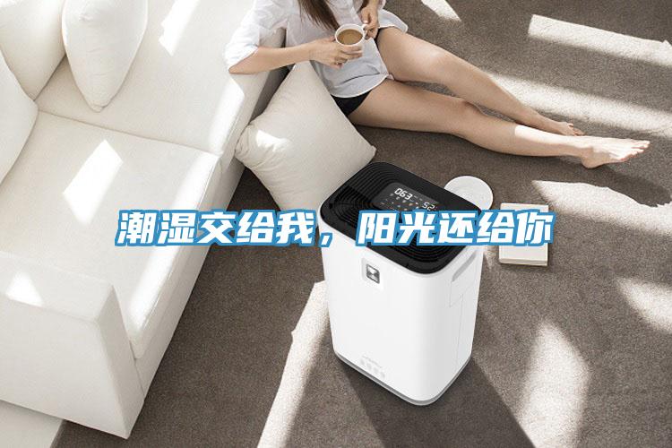 潮濕交給我，陽光還給你