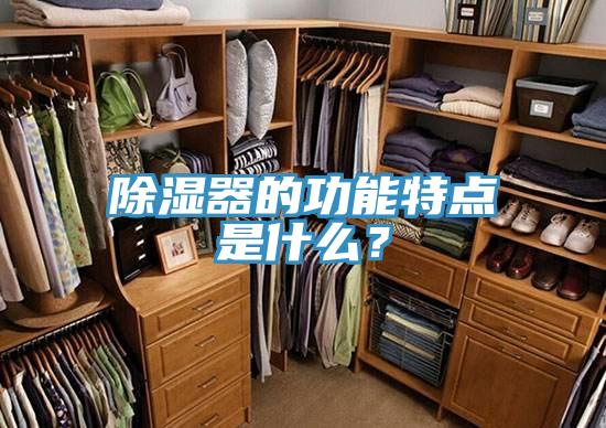 除濕器的功能特點(diǎn)是什么？