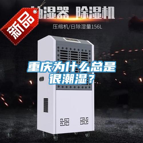 重慶為什么總是很潮濕？