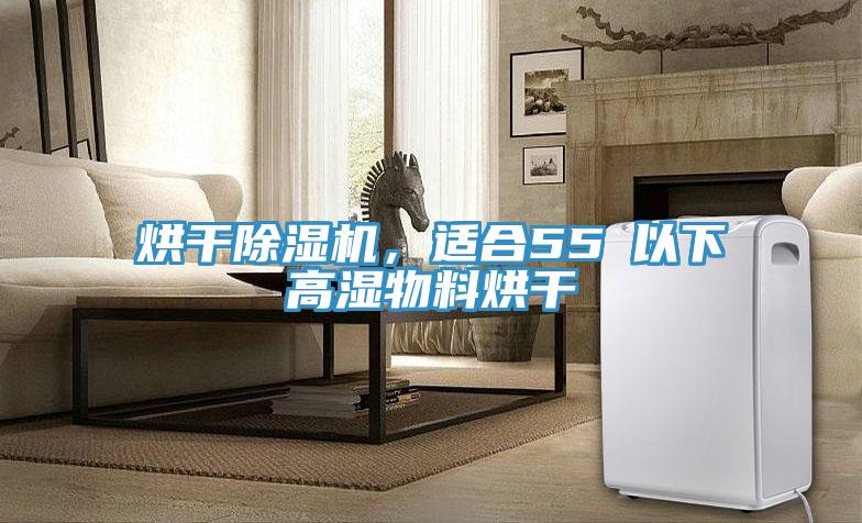 烘干除濕機(jī)，適合55℃以下高濕物料烘干