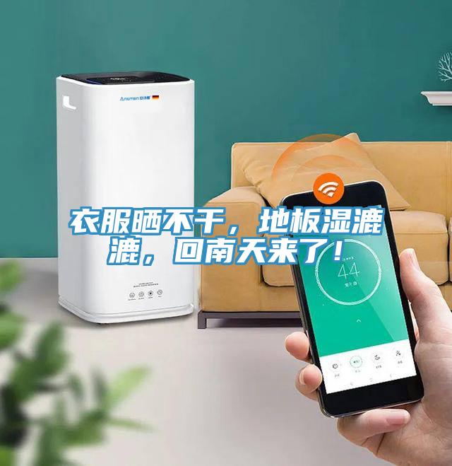 衣服曬不干，地板濕漉漉，回南天來了！