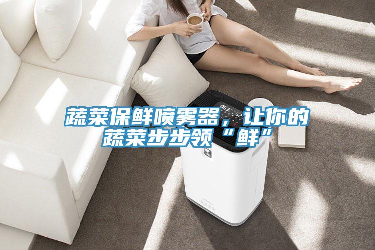 蔬菜保鮮噴霧器，讓你的蔬菜步步領(lǐng)“鮮”