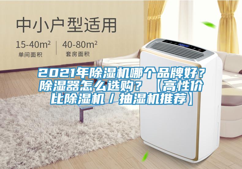 2021年除濕機(jī)哪個(gè)品牌好？除濕器怎么選購？【高性價(jià)比除濕機(jī)／抽濕機(jī)推薦】