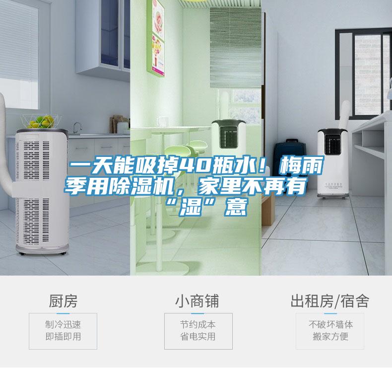 一天能吸掉40瓶水！梅雨季用除濕機(jī)，家里不再有“濕”意