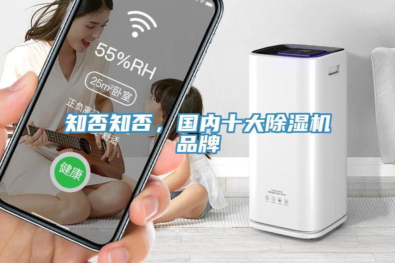知否知否，國(guó)內(nèi)十大除濕機(jī)品牌