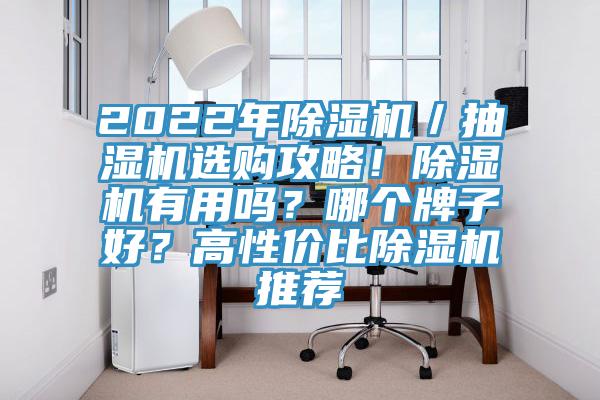 2022年除濕機(jī)／抽濕機(jī)選購(gòu)攻略！除濕機(jī)有用嗎？哪個(gè)牌子好？高性價(jià)比除濕機(jī)推薦