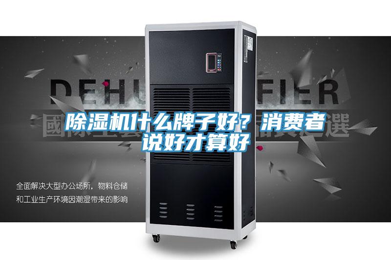 除濕機什么牌子好？消費者說好才算好