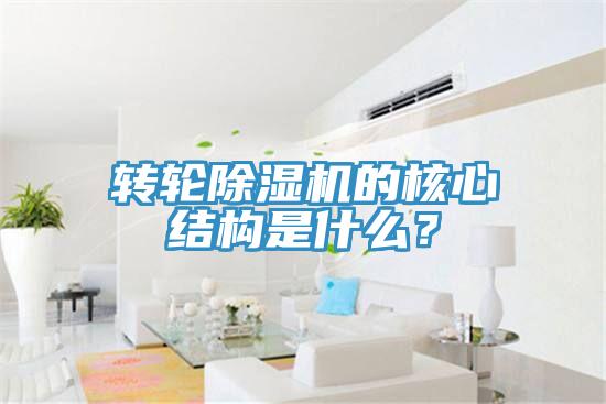 轉(zhuǎn)輪除濕機的核心結(jié)構(gòu)是什么？