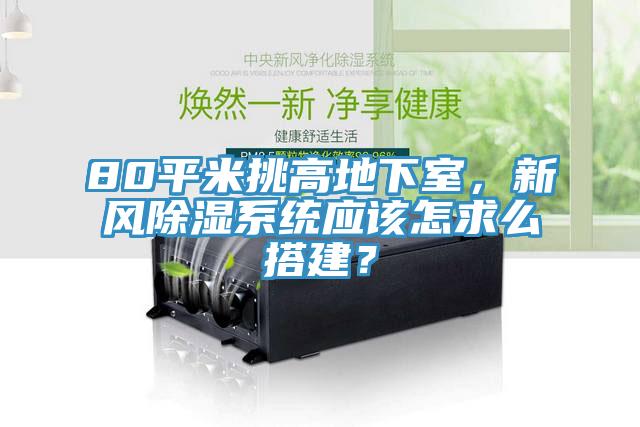 80平米挑高地下室，新風(fēng)除濕系統(tǒng)應(yīng)該怎求么搭建？