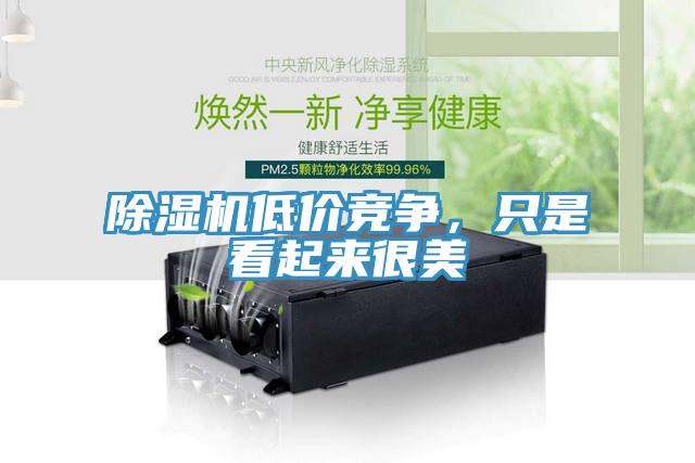 除濕機低價競爭，只是看起來很美